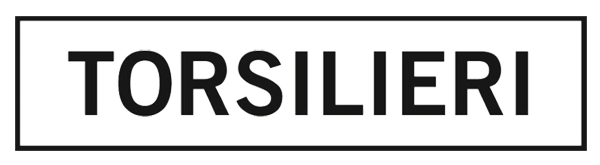 Torsiliri Logo